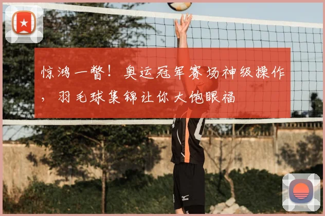 惊鸿一瞥！奥运冠军赛场神级操作，羽毛球集锦让你大饱眼福