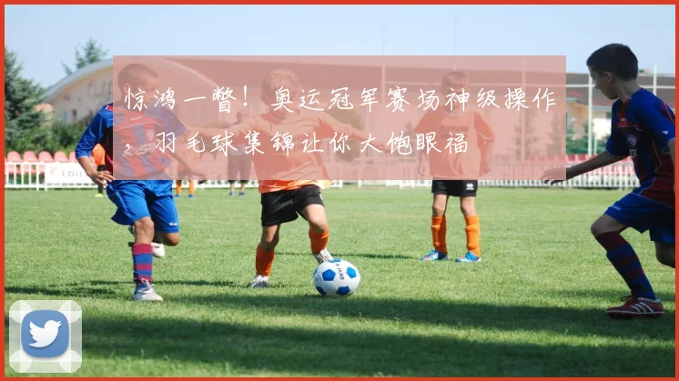 惊鸿一瞥！奥运冠军赛场神级操作，羽毛球集锦让你大饱眼福